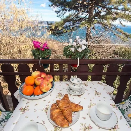 With Domestic Energy And Spectacular View * Opatija